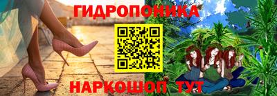 стаф Обь