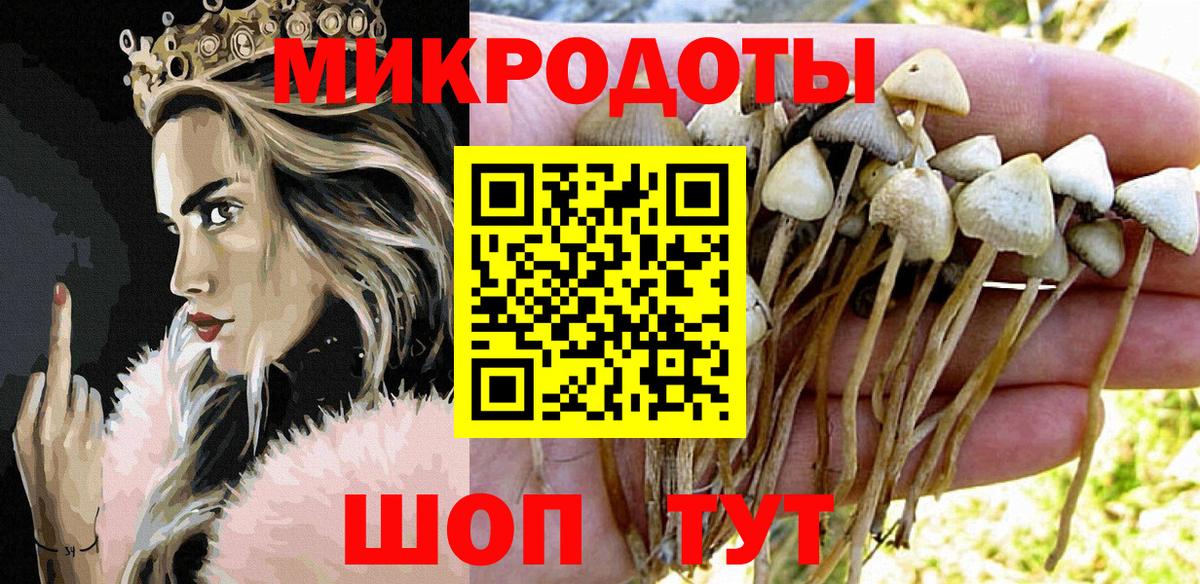 Псилоцибиновые грибы Psilocybine cubensis Сосновоборск