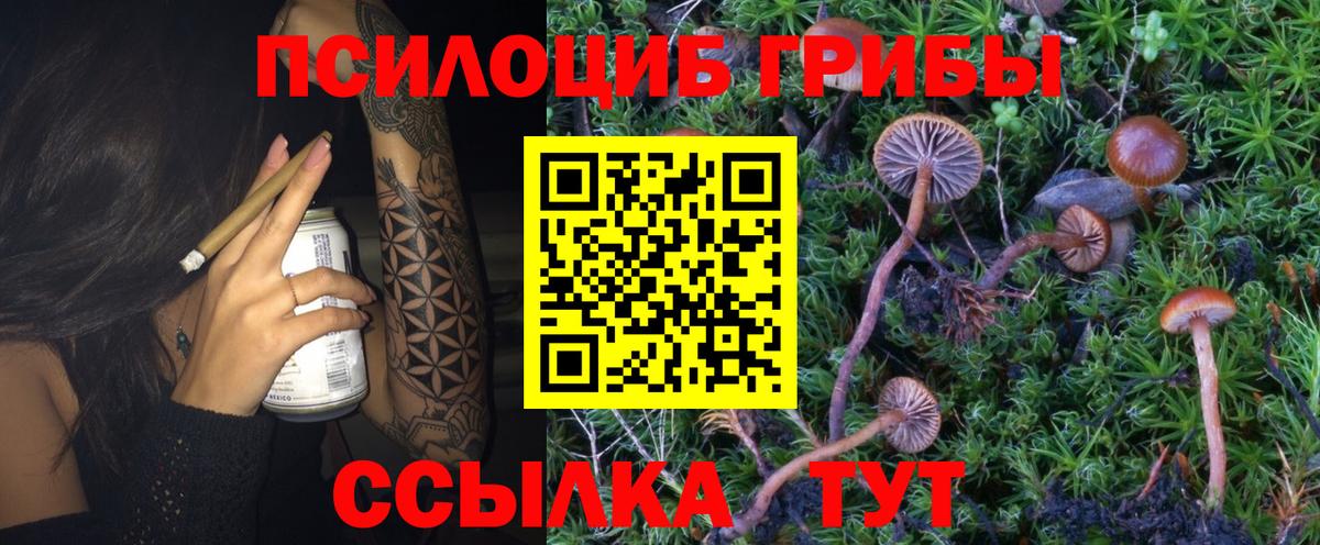 Сосновоборск  Псилоцибиновые грибы мухоморы  Вход с VPN  Псилоцибиновые грибы ЛСД 